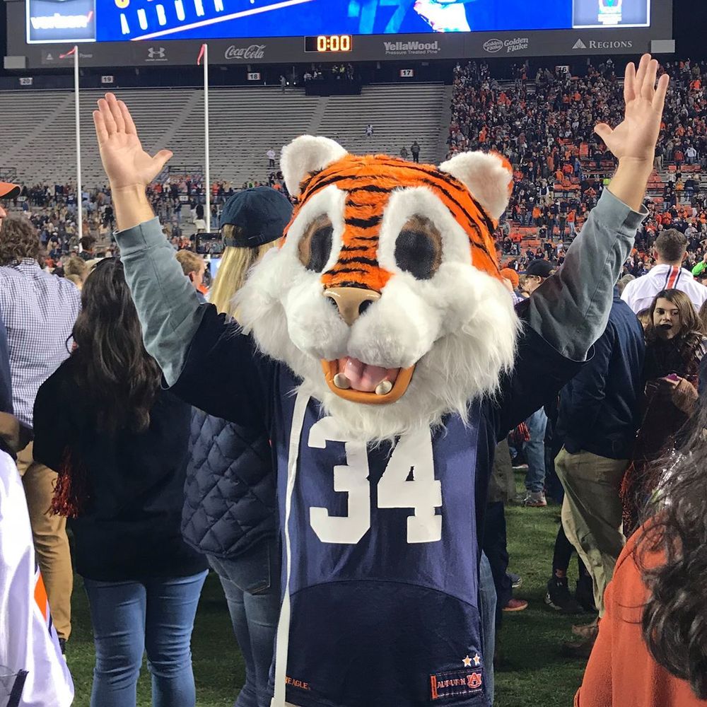 Meet your Posher, James